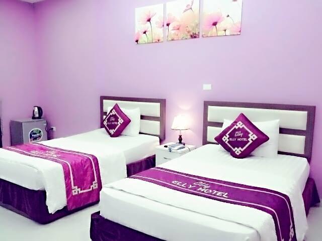 Elly Hotel Hanoi Exterior photo